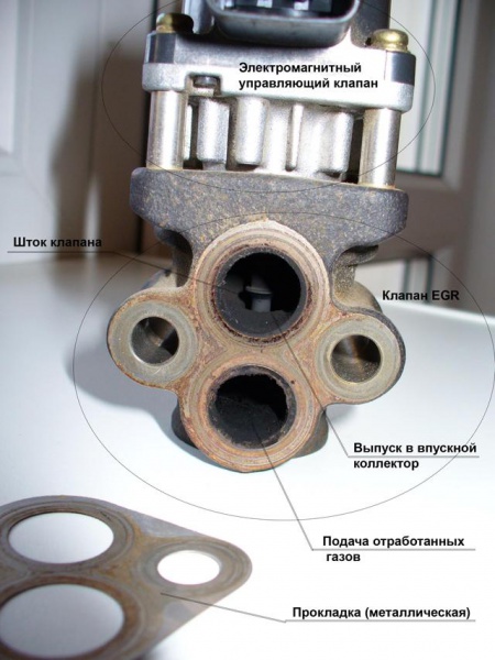 Файл:Egr2.JPG